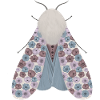 Moth