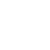 Numéro 29