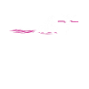 Triathlon