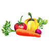Vegetable