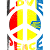Ukraine Germany Flag