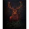 Hirsch