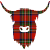 Highland Coo