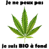 Stylized cannabis leaf for clothing