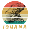 iguana