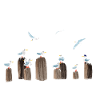 Seagull Gang