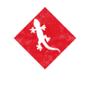 Lizard