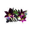 Ecrit sun et tulipes 1