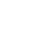 Segugio Italiano Dad