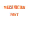 Real mechanic Others pretend