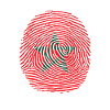 morocco flag finger print
