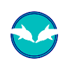 Dolphin Dolphins