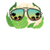 Cauliflower Sunglasses