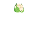 Cauliflower lovers