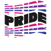 Bisexual Bi Pride Flag Pride