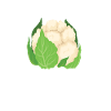 Cauliflower