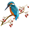 Bunter Vogel