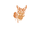 Funny donkey lover gift
