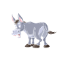 Esel Papa Eselliebhaber Esel Esel