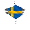 Sweden flag proud