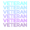 Veteran Retro