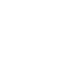 Vikings compass