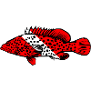 Grouper by Scuba.Style