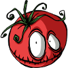 Tomato vegetable