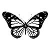 Butterfly, butterfly, gift idea