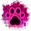 dog club