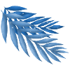 Blue Paradise