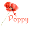 Poppy