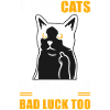 Superstition Chat Noir