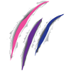Bisexuel Bi Pride Flag Scratch