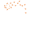 Animal Flower - Dandelion Chicken