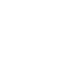Animal Flower - Dandelion Cat