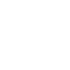 Evolution Falkner