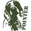 pointer Jagdhund