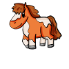 Cheval poney Shetland