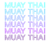 Muay Thai Thai Boxe Rétro