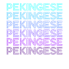 Rétro pékinois