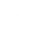 Wildblumen
