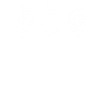 Wildflowers