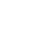Wildflowers