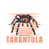 Tarentule Accueil Araignée Tarentule