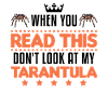 Tarantel Spinne Tarantula
