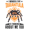 Tarantula Spider Tarantula