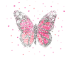 Butterfly Butterflies Florist