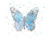 Butterfly Butterflies Floristry