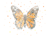 Butterfly Butterflies Garden
